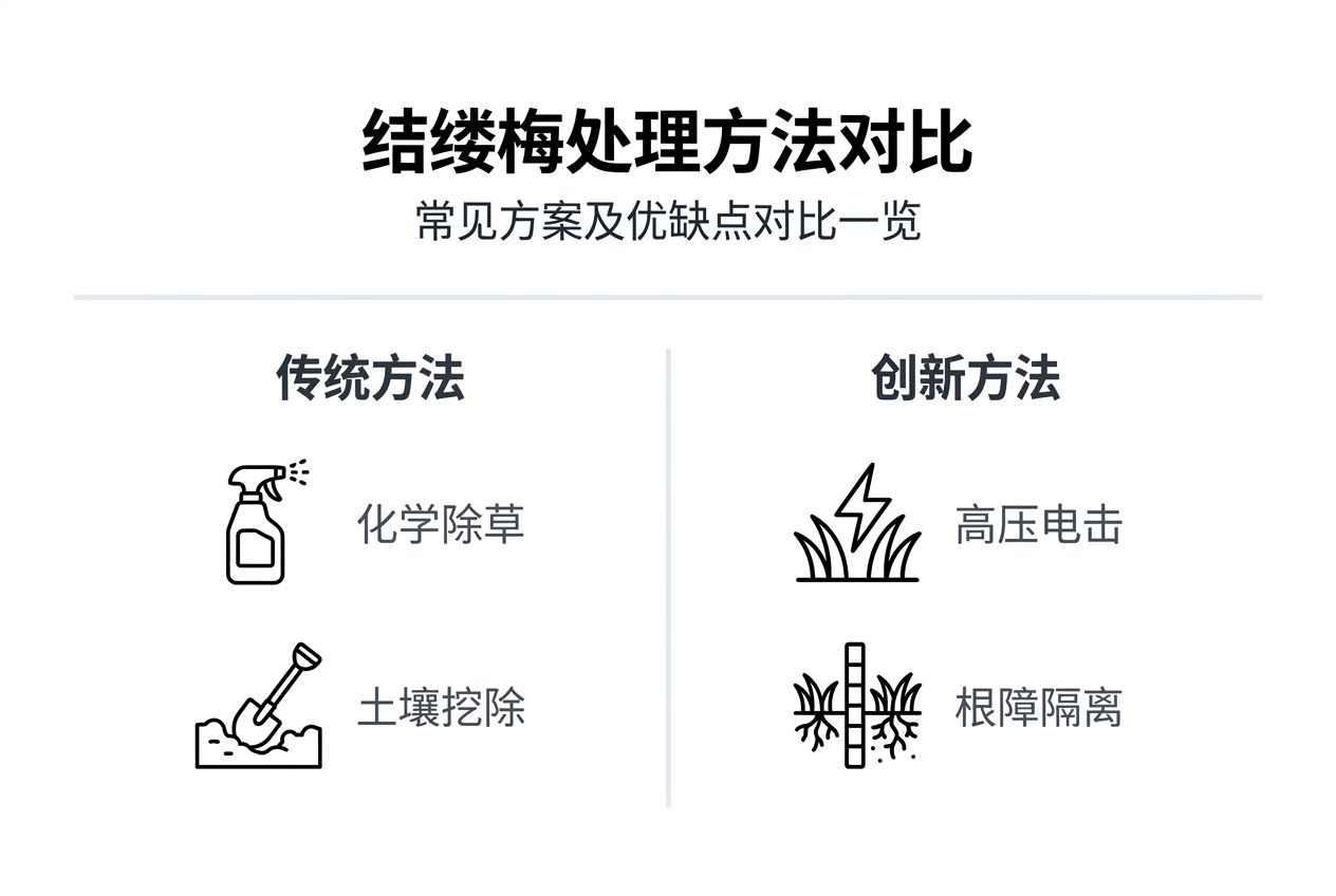 结缕梅养护方案对比一览图