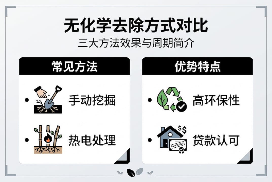 日本虎杖无化学治理方法对比一览