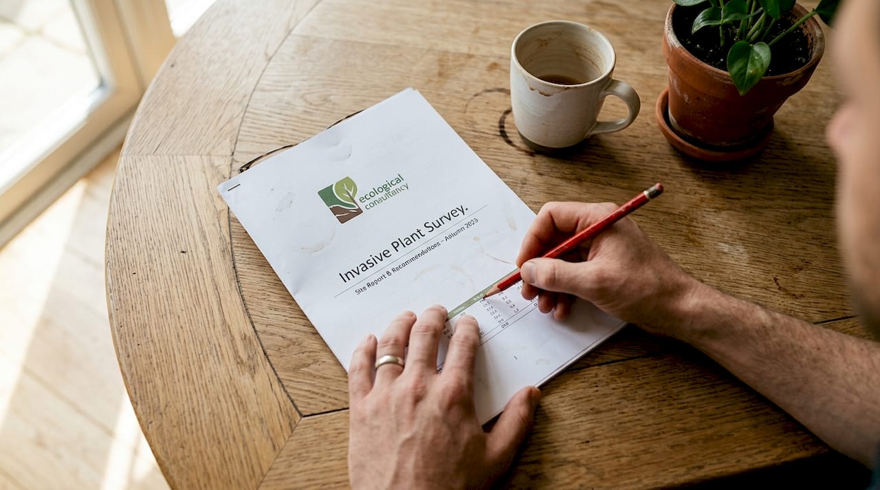 Hands reviewing invasive plant survey documents