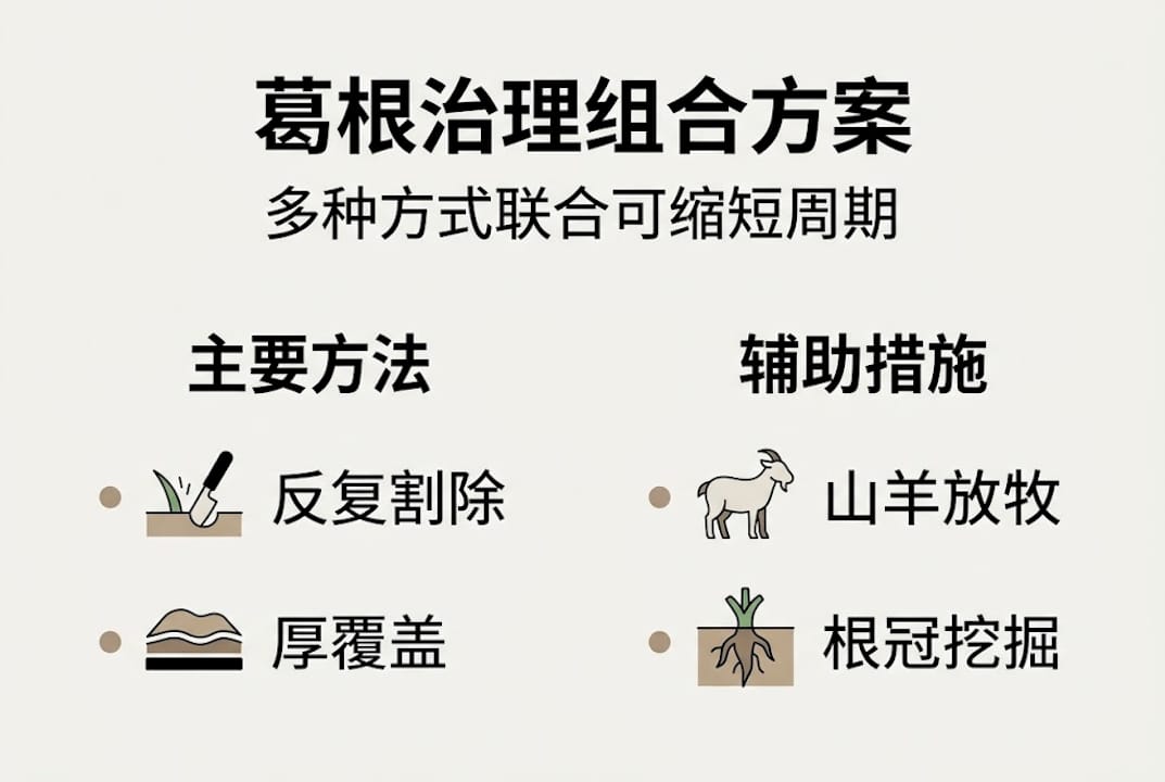 日本葛根防治方案对比一览图