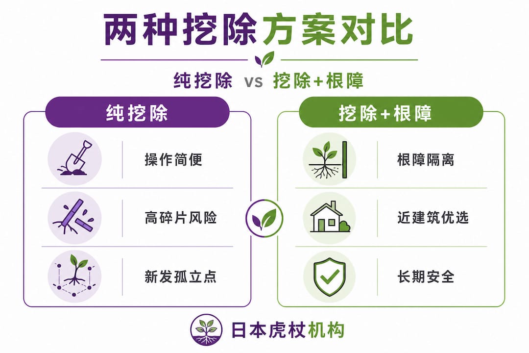 日本虎杖清除方法对比图解