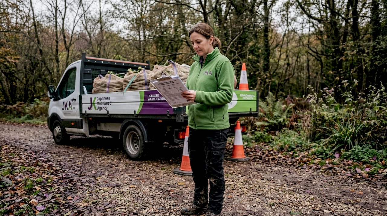Manager reviewing knotweed waste disposal paperwork