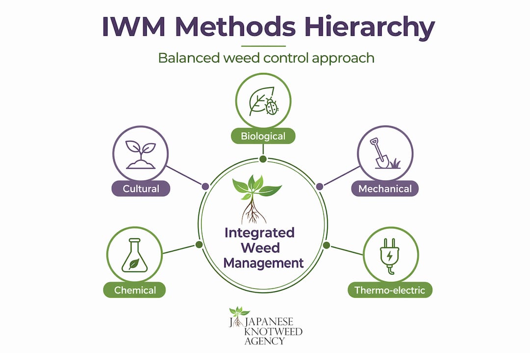 Hierarchy infographic of IWM methods and tools