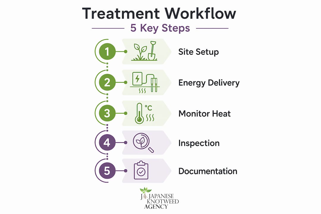 Infographic shows five steps of plant treatment workflow