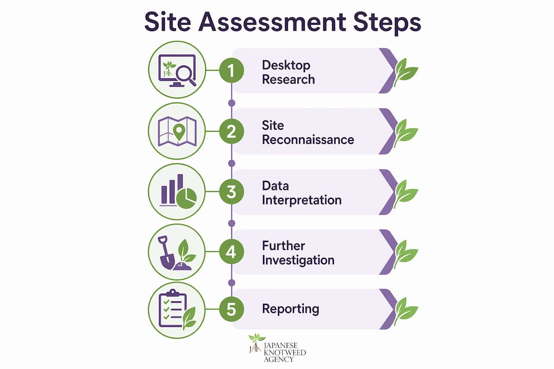 Infographic showing five steps of site assessment process