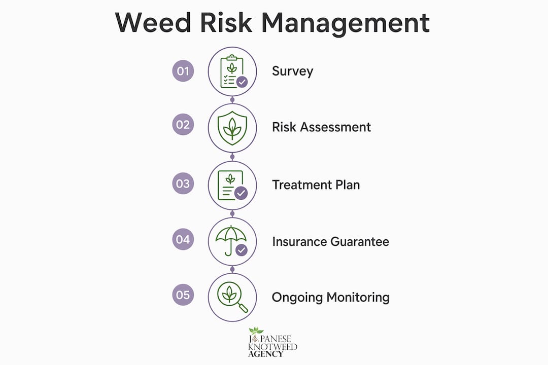 Infographic illustrating weed risk management steps