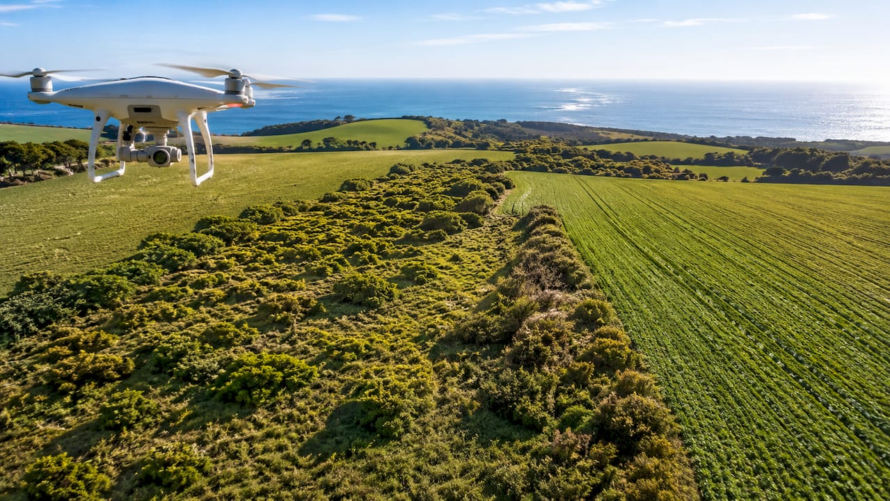 Aerial drone view detecting weed patches in farmland