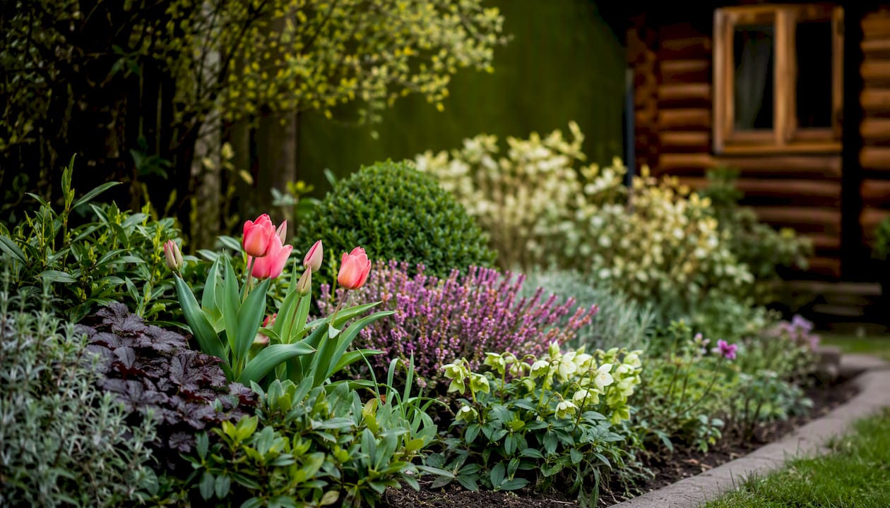 Seasonal planting schemes: year-round interest for UK gardens