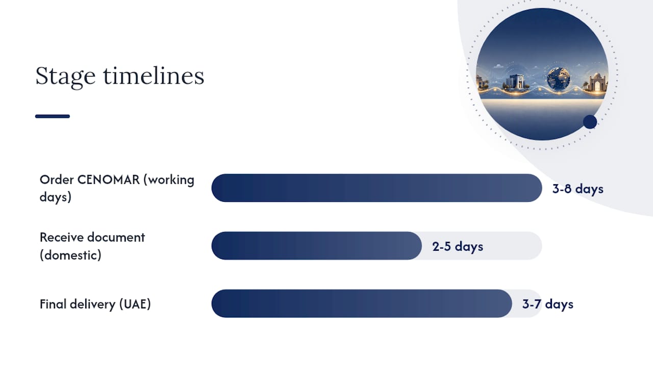 What Documents, Fees, and Timeline Should You Plan For? — overview diagram
