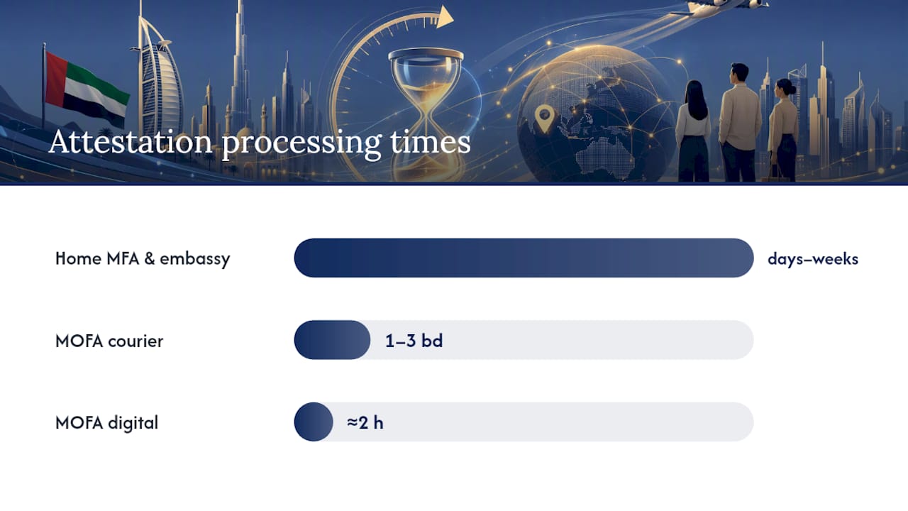 Timelines, Fees, and Where Delays Usually Happen — overview diagram