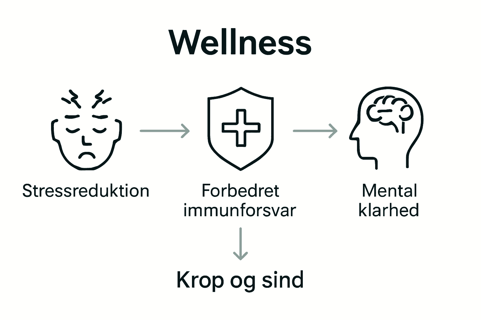 Infografik over hovedfordele ved wellness for krop og sind