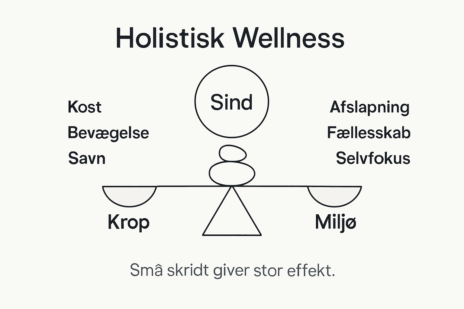 Grafik: Overblik over holistisk velvære – de vigtigste pointer