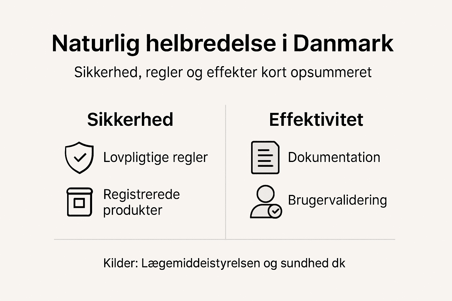 Grafisk oversigt: Sådan forholder du dig til sikkerhed og regler i Danmark