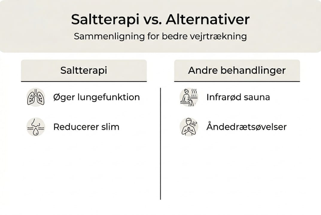 Grafikken giver et overblik over saltterapi og andre behandlingsmuligheder, så du nemt kan sammenligne fordelene.