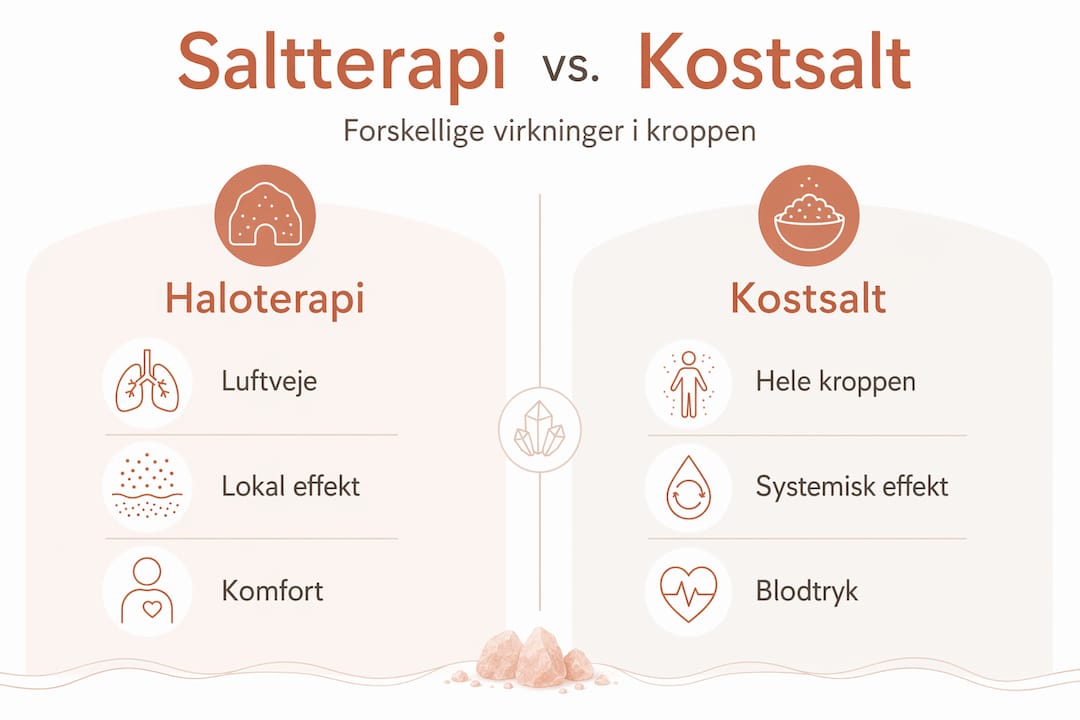Infografik: Saltterapi eller almindeligt bordsalt – hvad er forskellen?