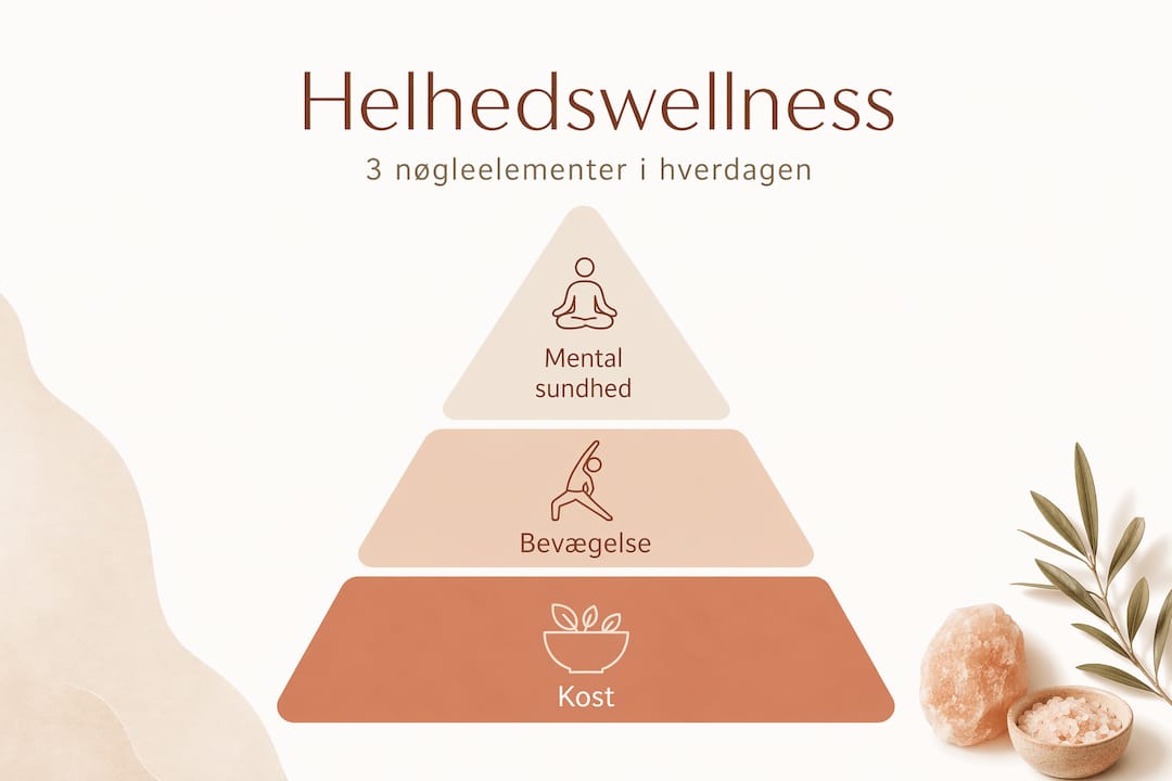 Oversigt: De vigtigste elementer i helhedswellness-pyramiden præsenteret som infografik