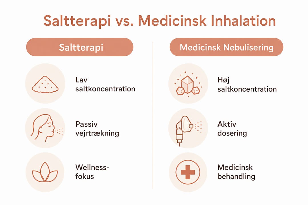 Grafisk oversigt: Saltterapi versus medicinsk inhalation – en sammenligning