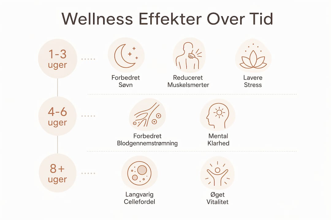 Grafisk oversigt over, hvordan wellness påvirker kroppen og sindet gennem tiden