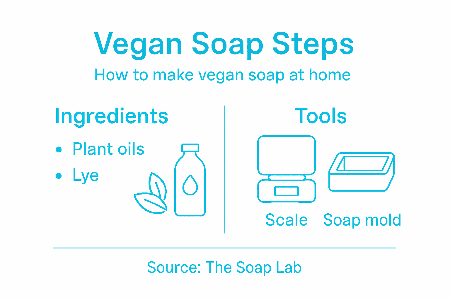 Infographic outlining vegan soap-making steps and tools