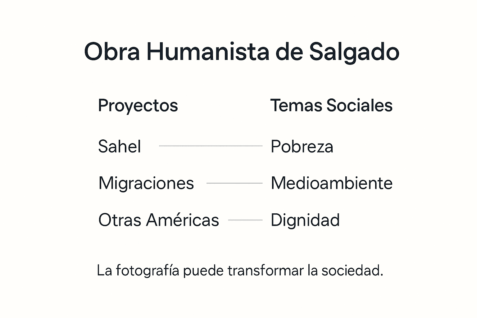Resumen visual de los proyectos y la visi&oacute;n de Salgado