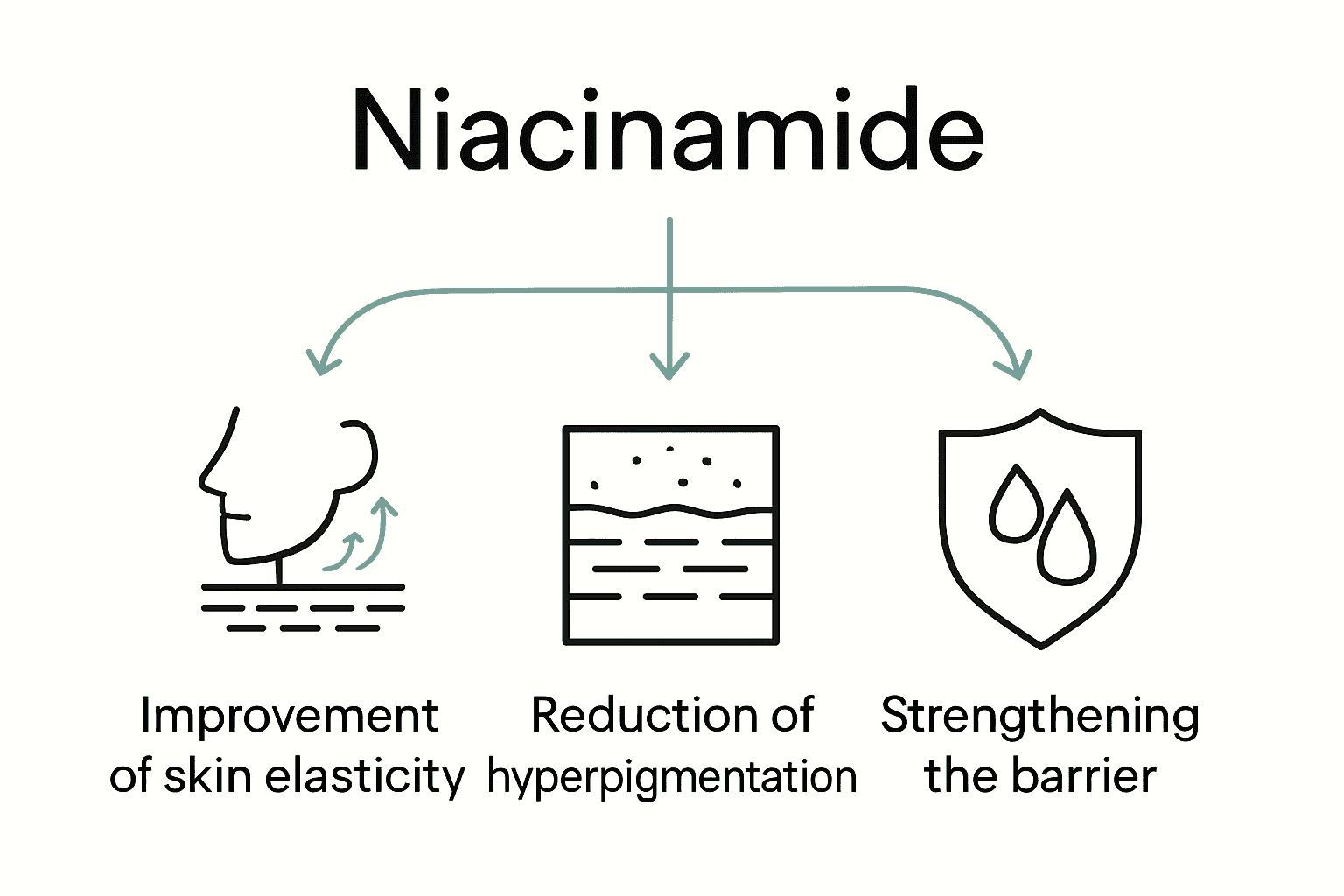 Infografika zobrazujúca výhody niacínamidu: elasticita, blednutie tmavých škvŕn, silnejšia kožná bariéra.