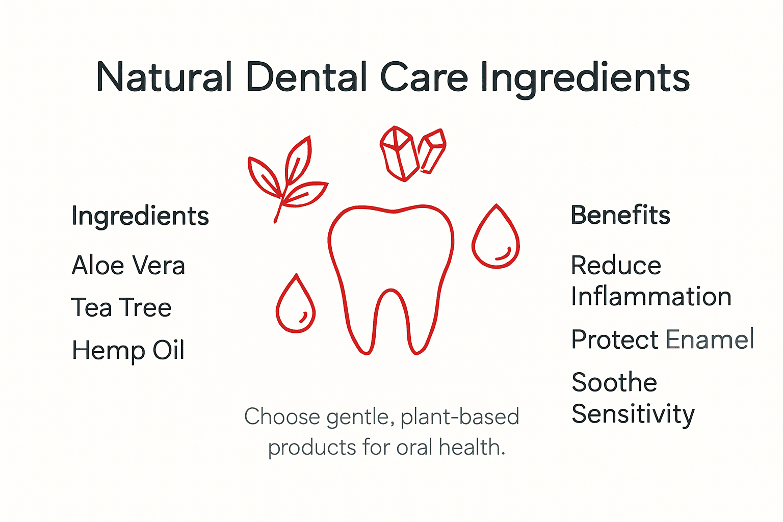 Infographic about natural dental care ingredients