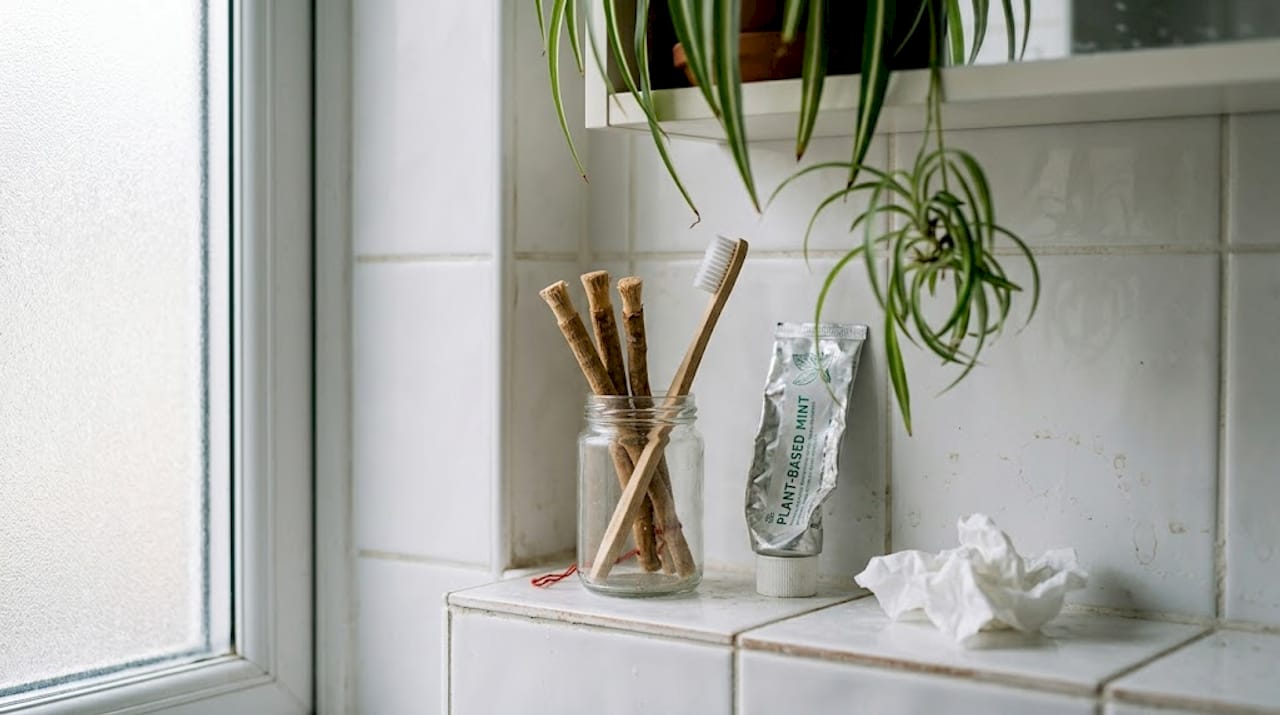 Herbal dental twigs and toothbrush on shelf