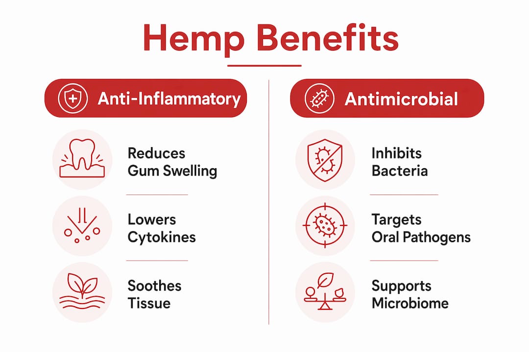 Infographic comparing hemp anti-inflammatory and antimicrobial benefits