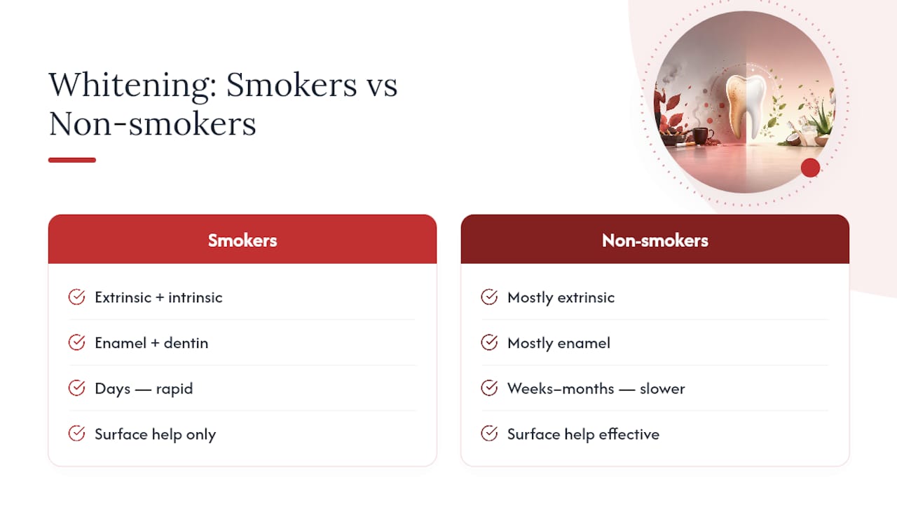 Diagram of stain buildup comparison smokers vs non-smokers