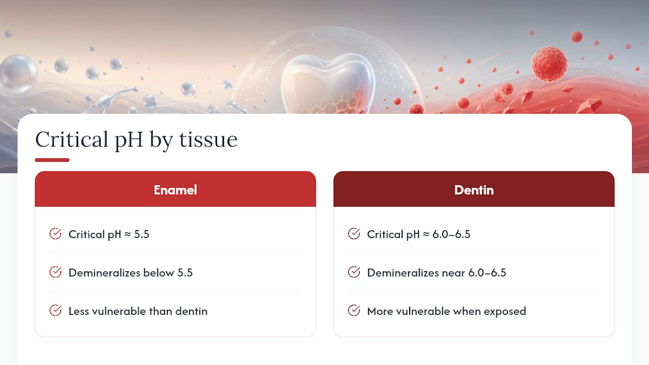 What Causes Enamel Erosion at the Biological Level? — overview diagram