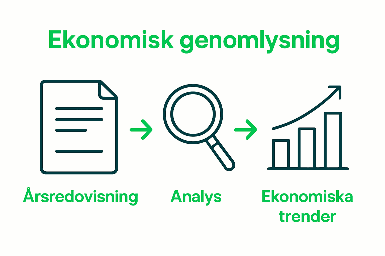 Infografik process ekonomisk genomlysning steg för steg