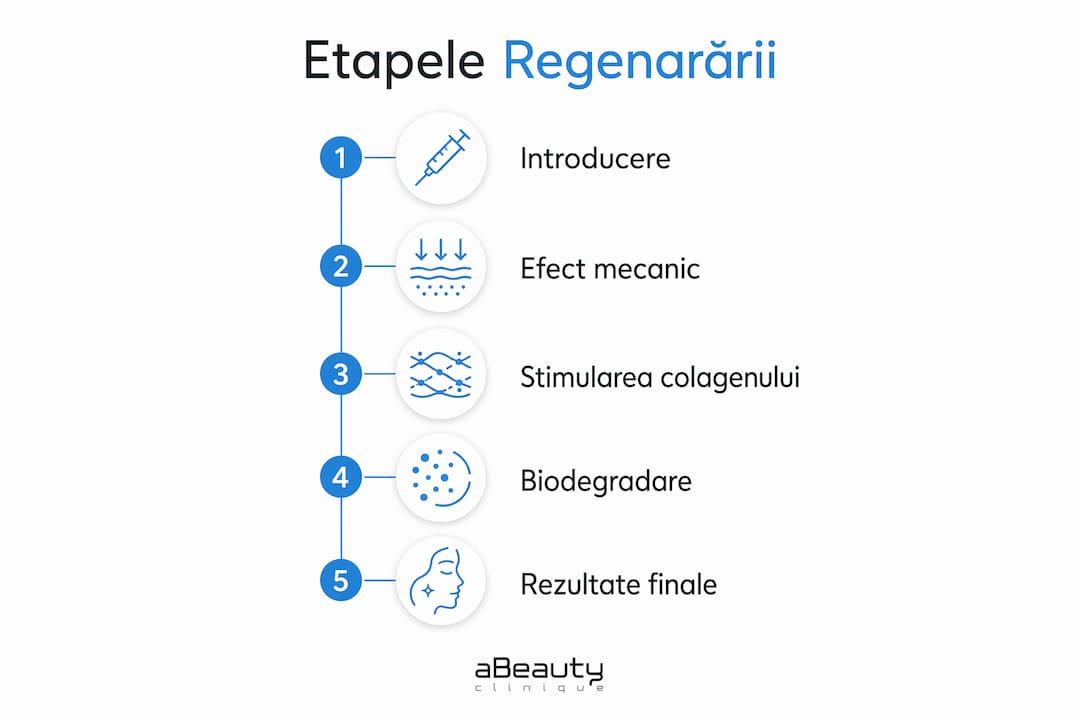 Infografic: pașii prin care acționează firele PDO și cum se manifestă efectul lor