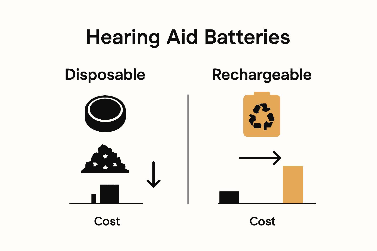 Infographic shows rechargeable vs disposable battery cost and environmental impact.