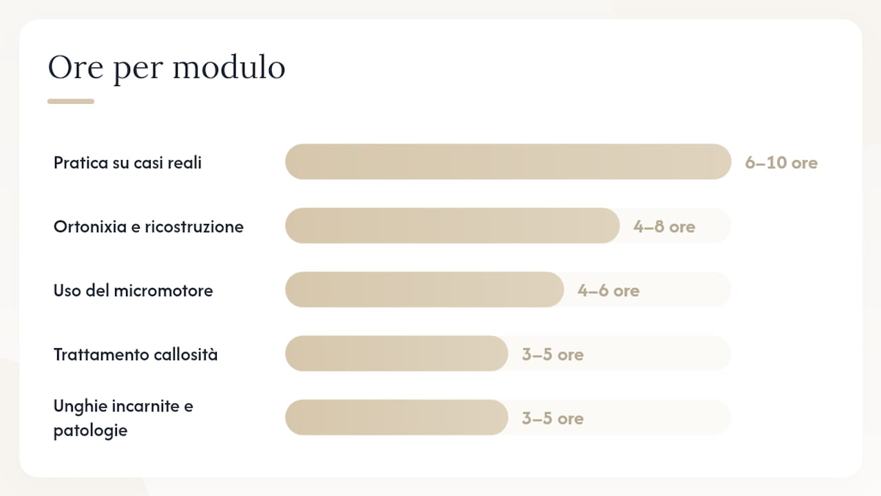 Grafico che illustra la suddivisione delle ore tra lezione teorica e attività pratica