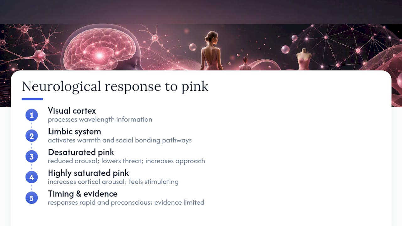 What happens neurologically when you see pink — overview diagram