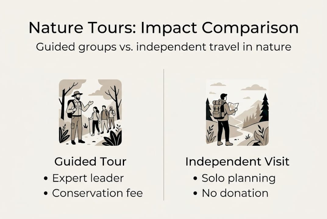 Infographic comparing guided and independent nature tours