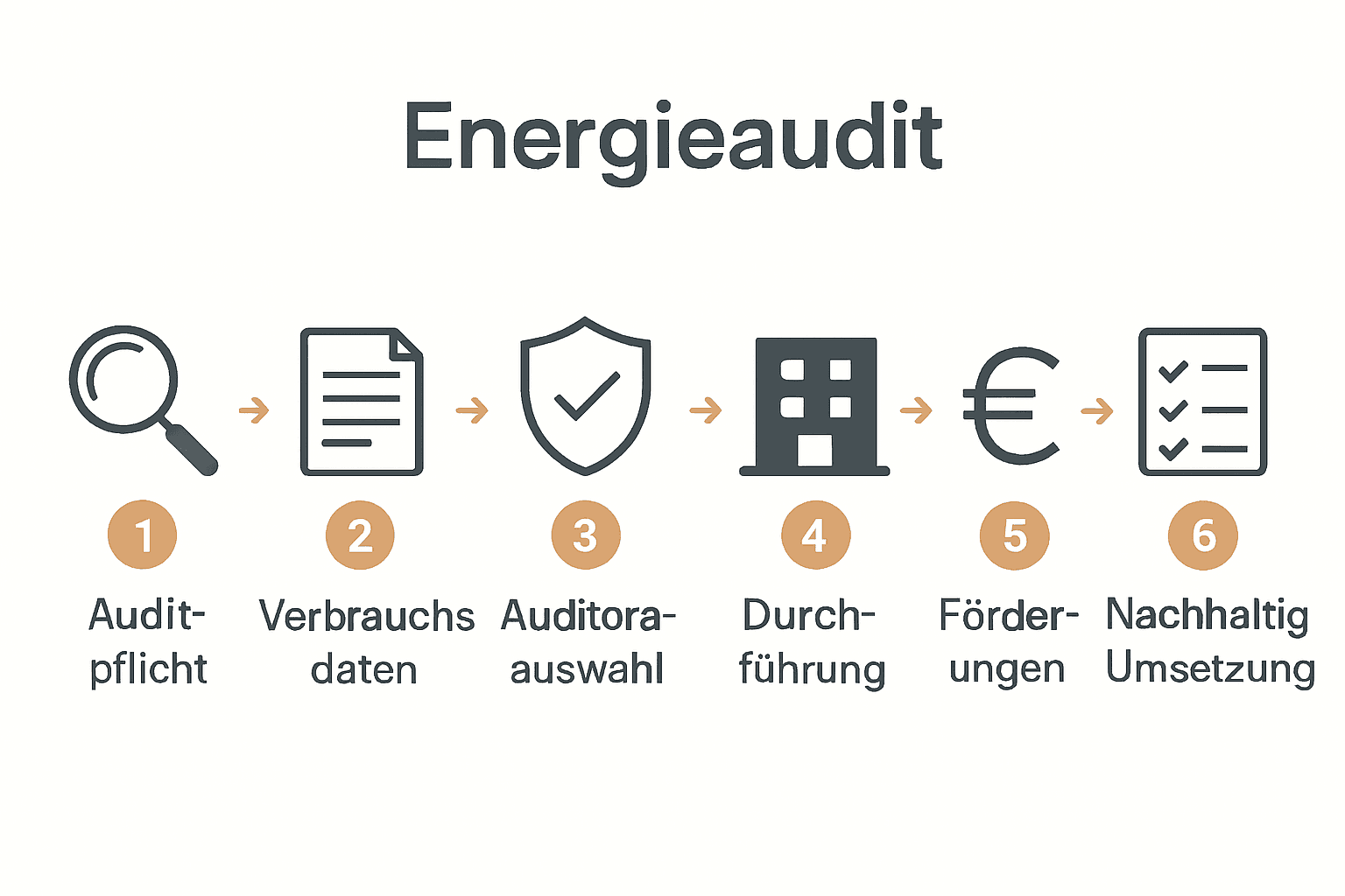 Infografik: 6 Schritte des EU-Energieaudits mit Icons und Pfeilen