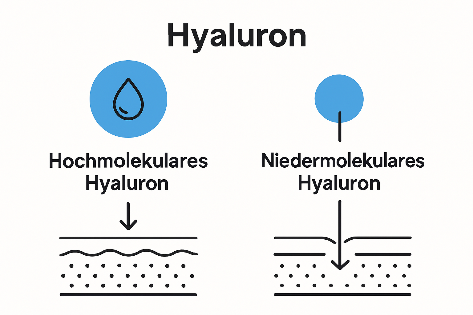 Infographic shows hyaluron molecule size effects