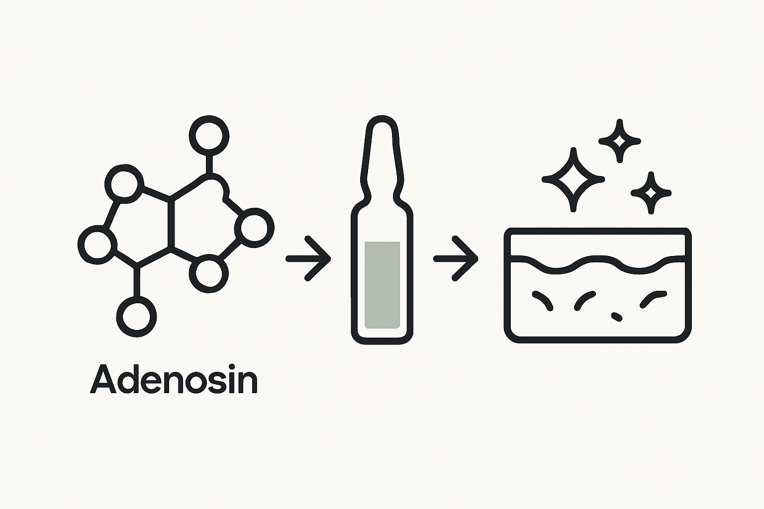 Die Infografik veranschaulicht, wie Adenosin und EGF gemeinsam für eine effektive Hautpflege wirken.
