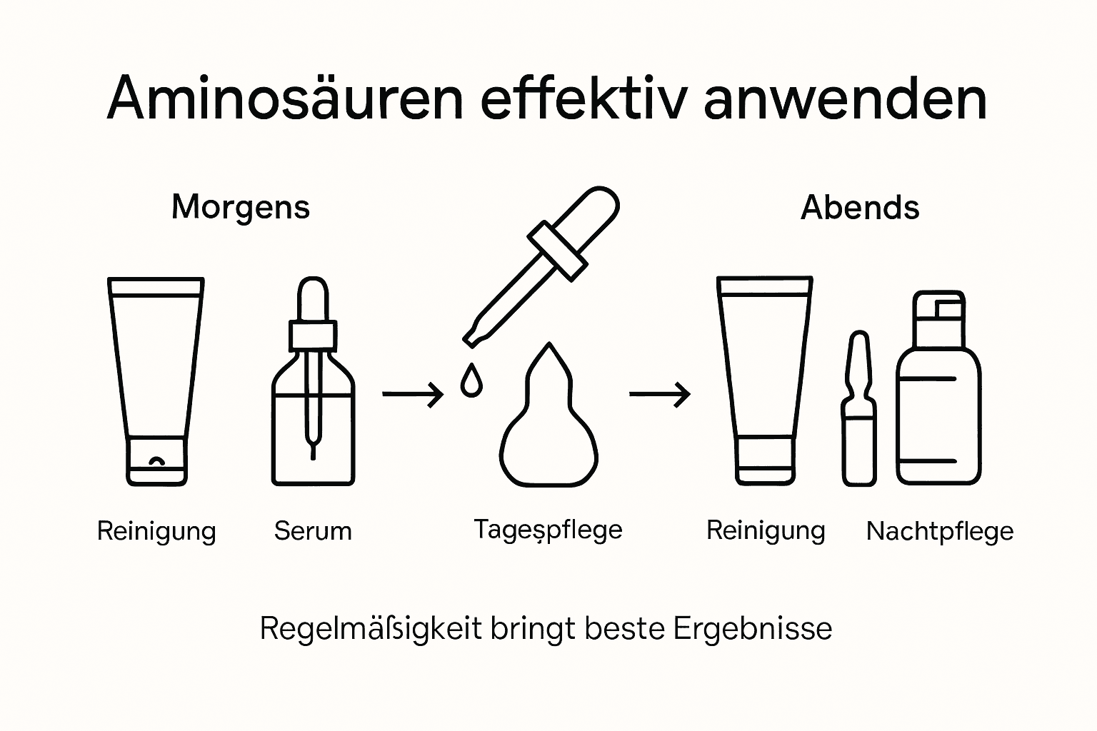 Infografik: Wie Aminosäuren deine Hautpflegeroutine bereichern können