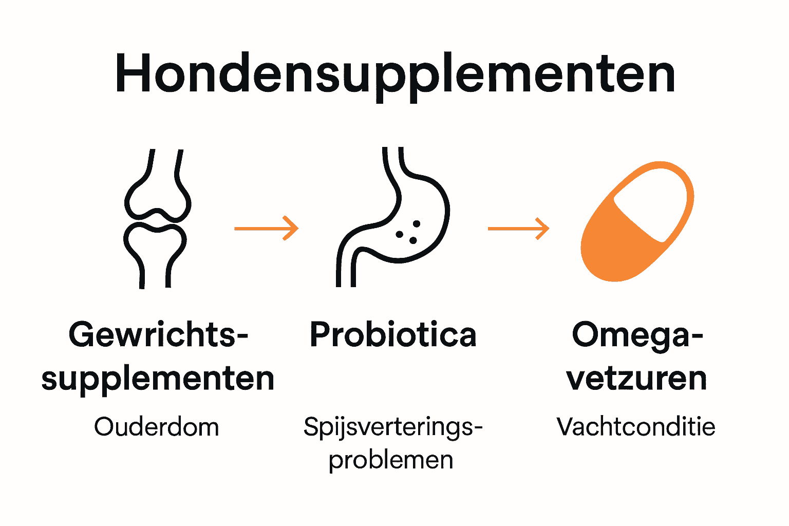 Infographic met drie hoofdtypes hondensupplementen en hun voordelen