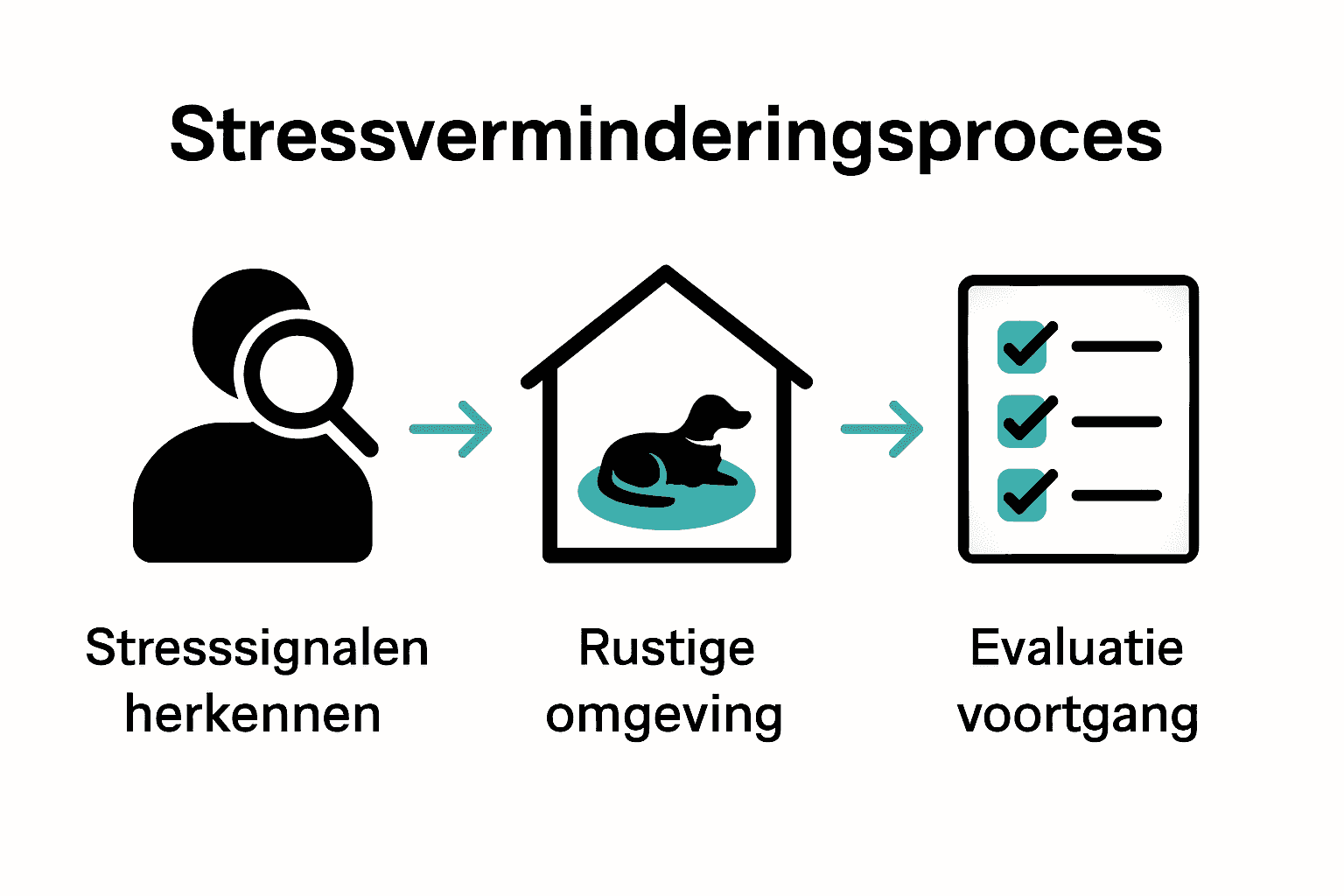 Stappen infographic: stresssignalen, rustige omgeving, evaluatie