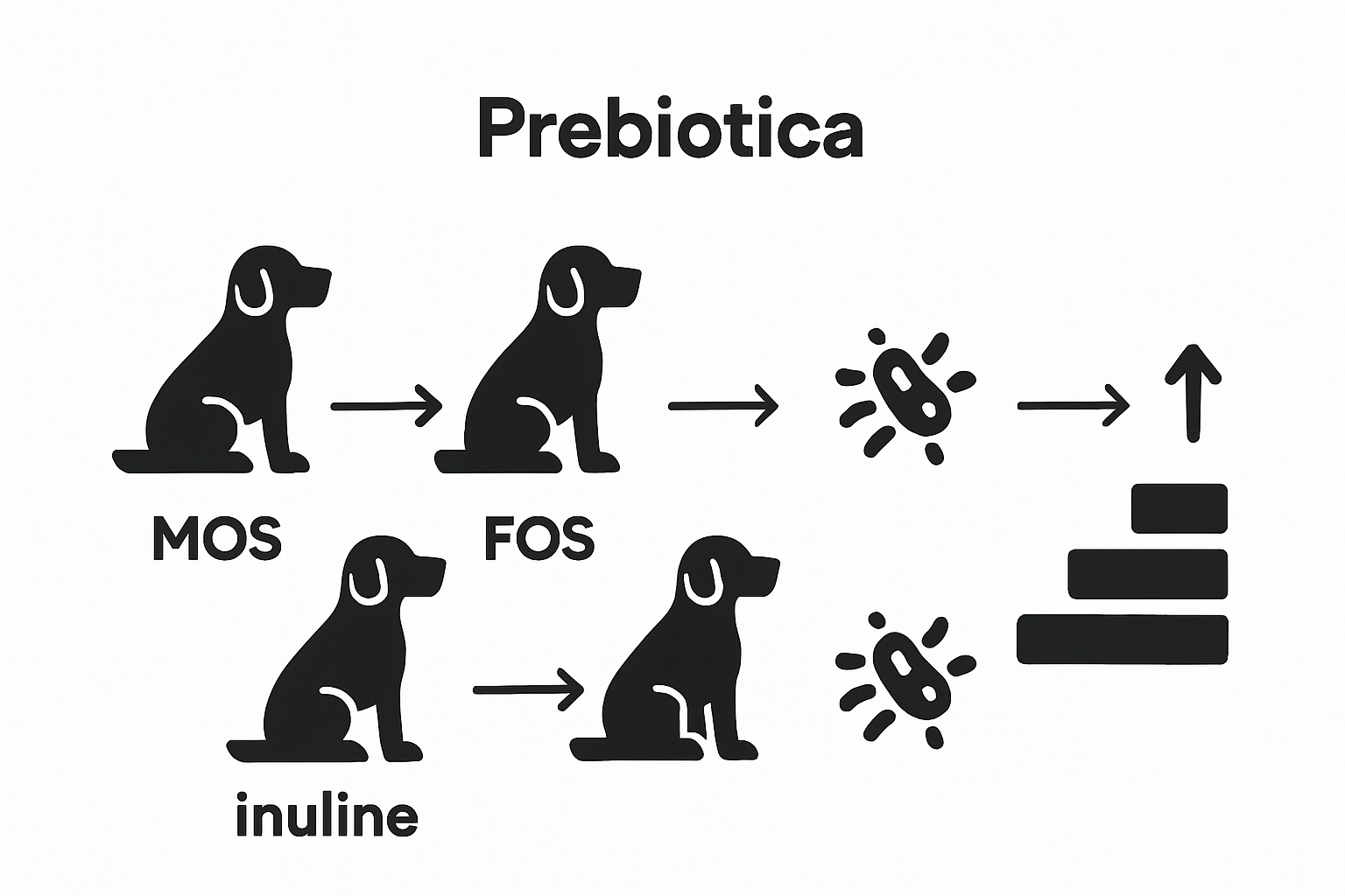 Infographic compare MOS FOS inuline effects