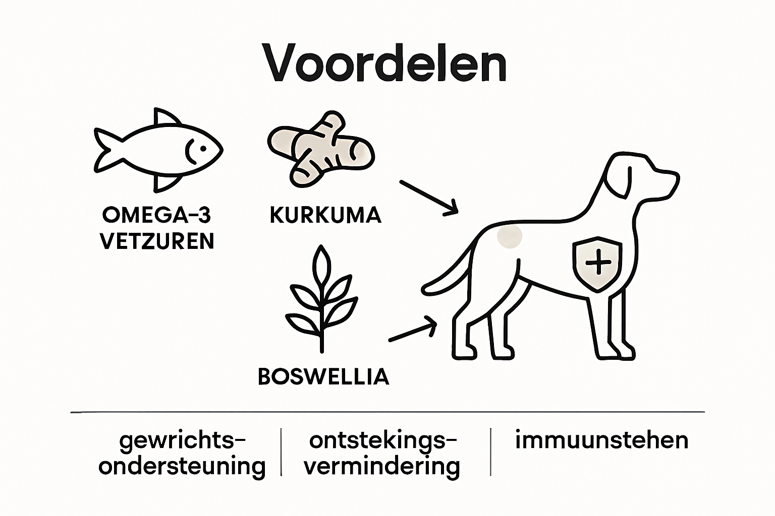 Overzicht: Wat zit er eigenlijk in supplementen voor honden?