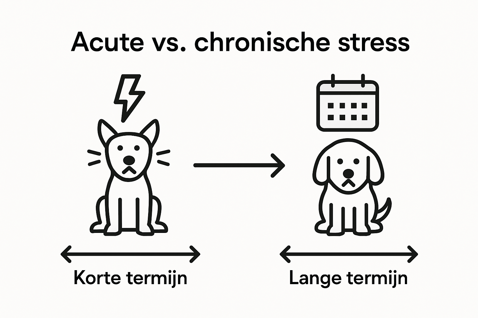 Infographic: het verschil tussen acute en chronische stress bij honden