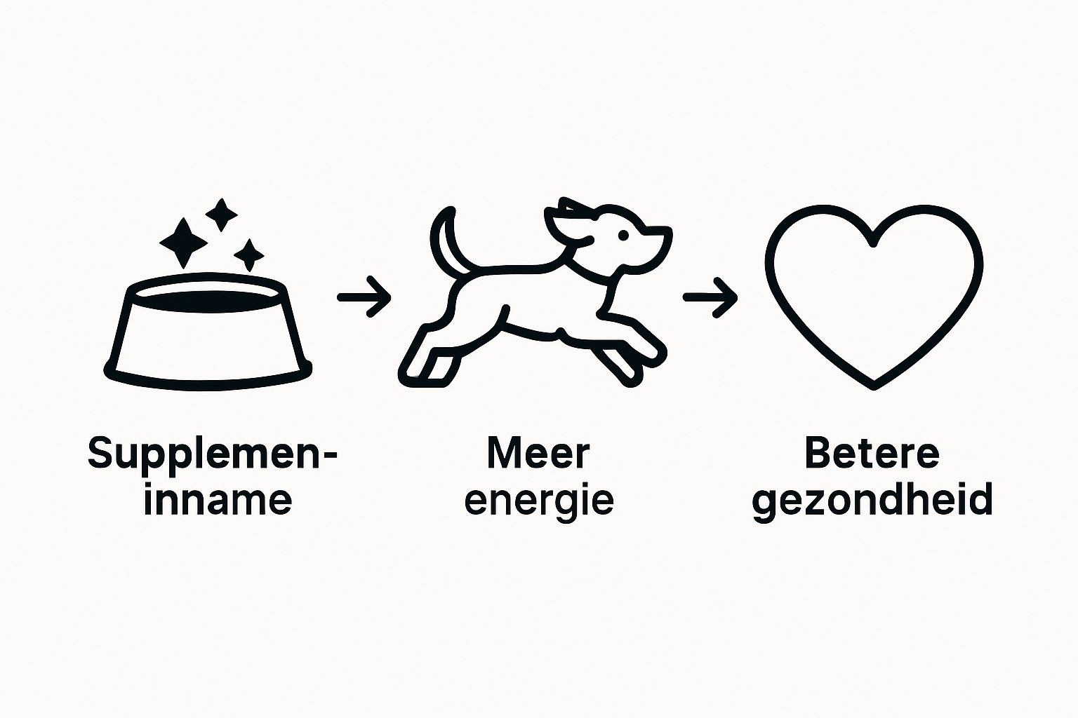 Infographic: Wat doen voedingssupplementen voor de gezondheid van je hond?