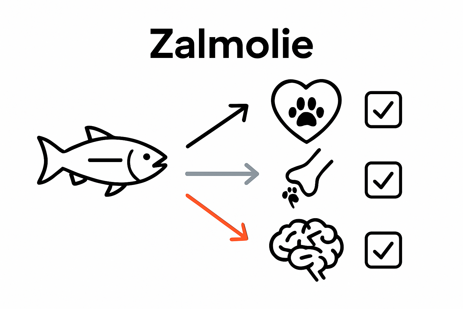 Infographic laat zien hoe zalmolie bijdraagt aan een gezond hart, soepele gewrichten en een scherp brein.