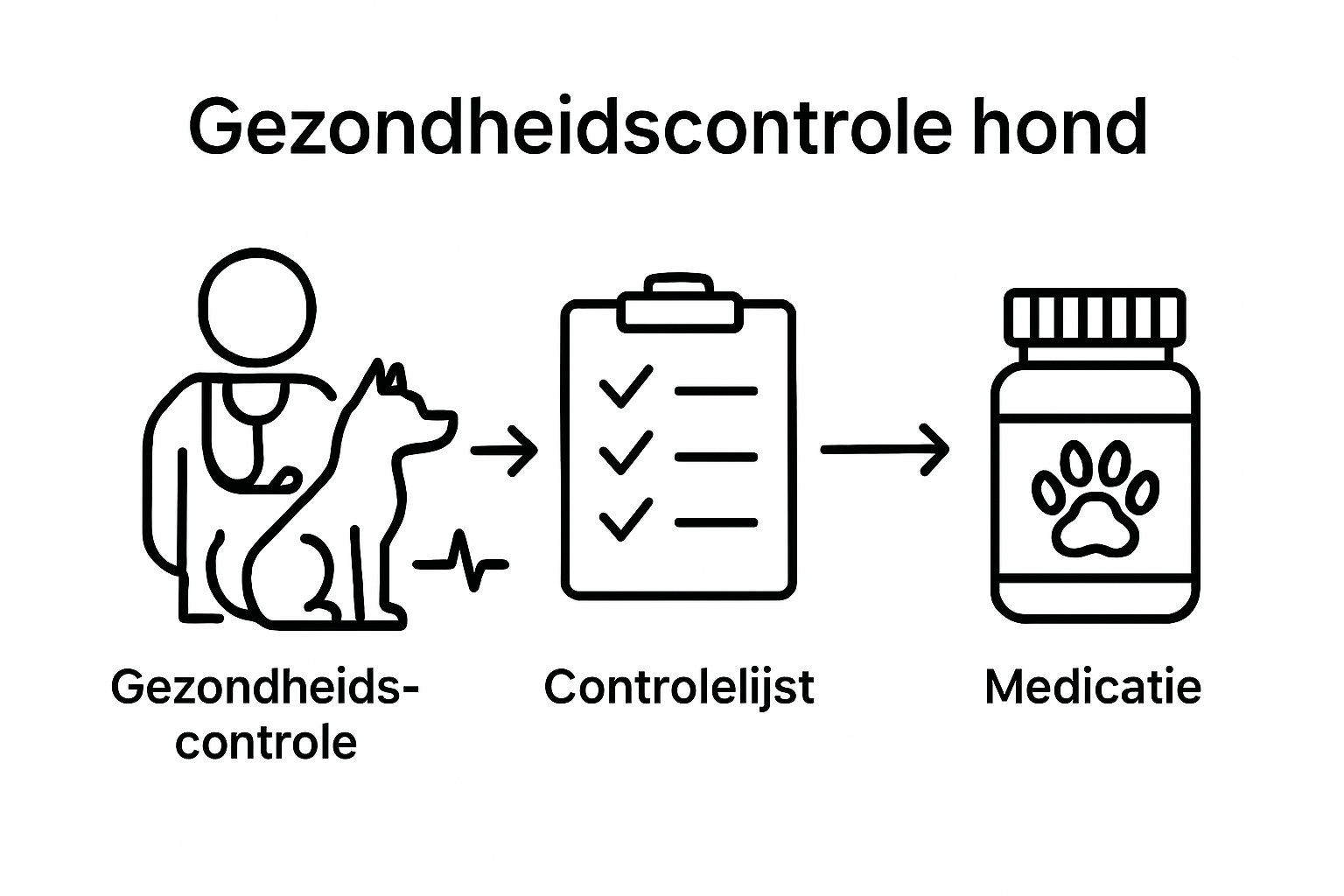 Infographic: zo verloopt een gezondheidscheck bij je hond