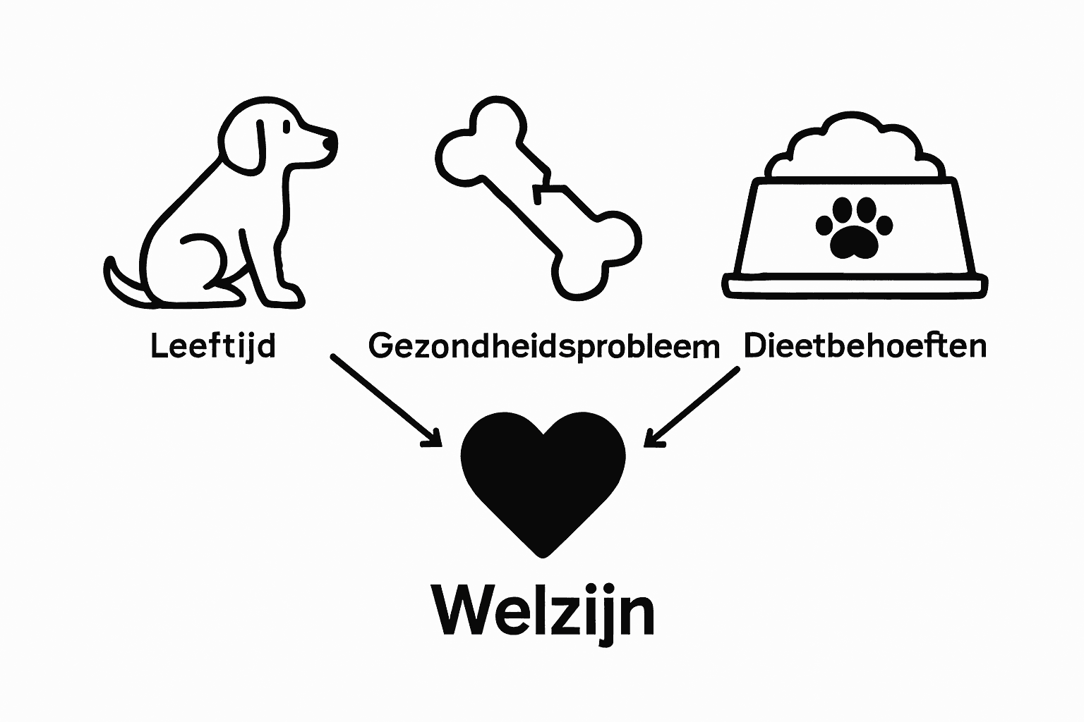 Infographic: Waarom voedingssupplementen soms onmisbaar zijn voor je hond