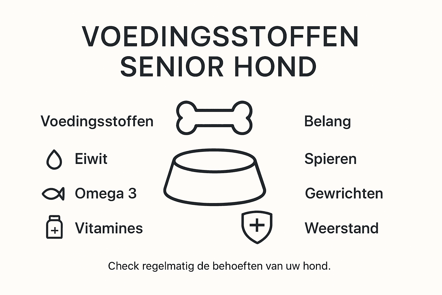 Infographic: Belangrijke voedingsstoffen voor senior honden